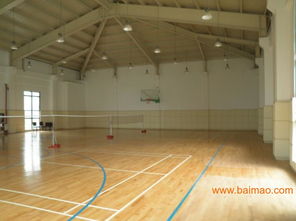 专业运动木地板系统 从生产到施工的全方位解析