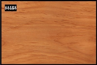 佛山市南海区骏藤家具 热推新品真藤沙发，引领酒店家具新潮流