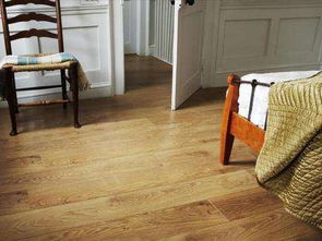 家里不要铺木地板了,有钱人都兴装这种代替,省钱漂亮又易清洁