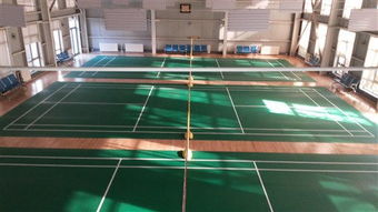 专注品质，服务运动——北京达森运动木地板有限责任公司